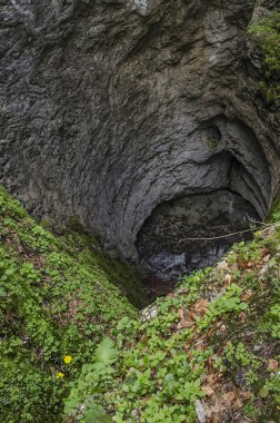 Galbenei gorge şelale