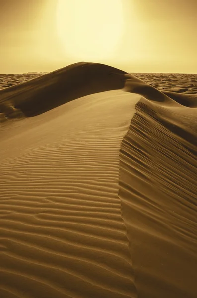 Puesta de sol en el desierto —  Fotos de Stock