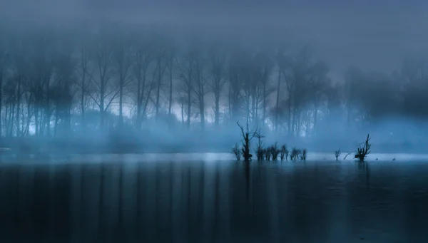 Brouillard sur la surface de l'eau — Photo