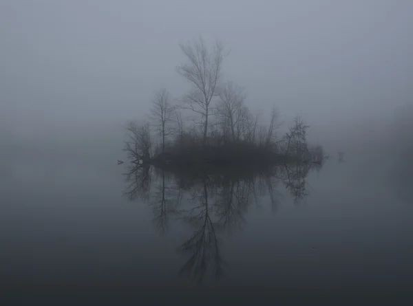 Névoa em um lago ao amanhecer — Fotografia de Stock