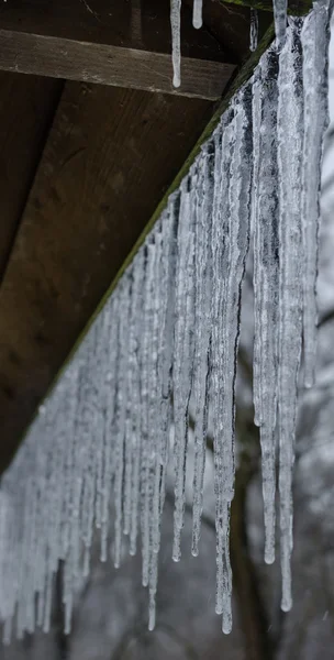 Ijspegels op winter achtergrond — Stockfoto