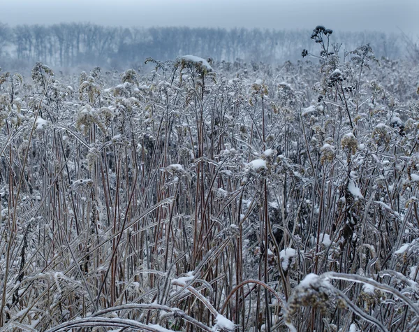 Eingefrorener Planet Hintergrund — Stockfoto
