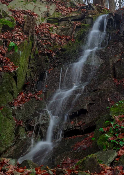 Waterfall in of Czech Republic Hranice — Stock Photo, Image