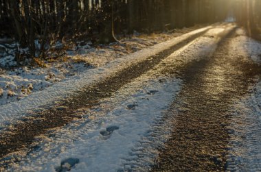 bir orman yolu karda ayak izleri