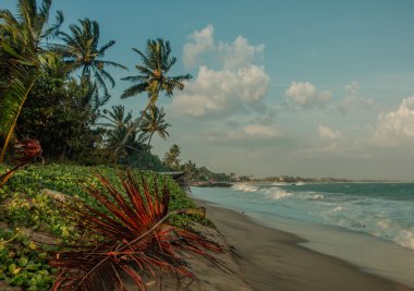 Kum mavi gökyüzü ve palmiye ağaçları dalgalar.