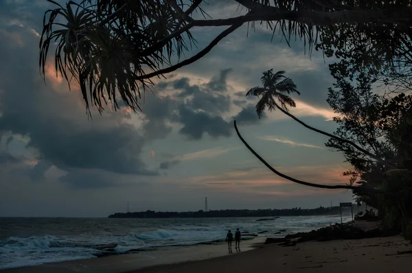 Pôr do sol no Sri Lanka — Fotografia de Stock