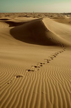 footprints on desert  clipart