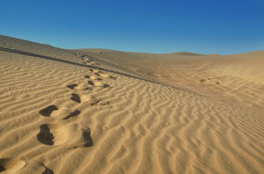 Footprints in the desert clipart