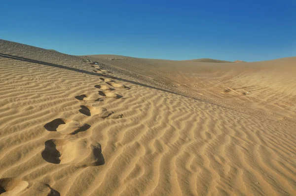 Lábnyomok a sivatagban — Stock Fotó
