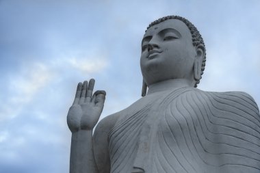 Buda meditasyon