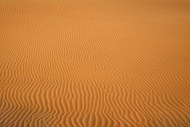 Çöl dokulu arka plan