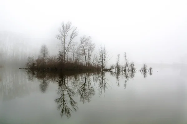 Isla en la niebla — Foto de Stock