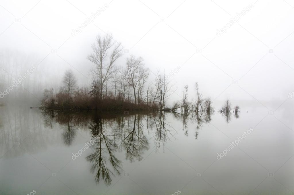 Island in the fog