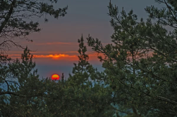 夕方の空に赤い夕日 — ストック写真