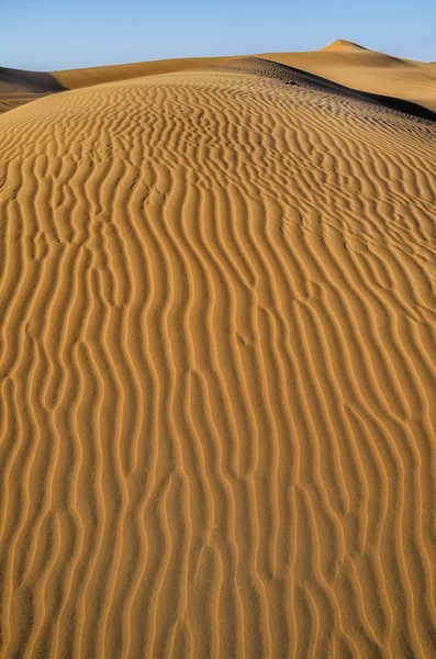 砂漠デューン構造の背景 — ストック写真