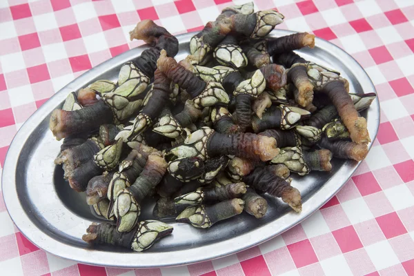 Gooseneck barnacles — Stock Photo, Image