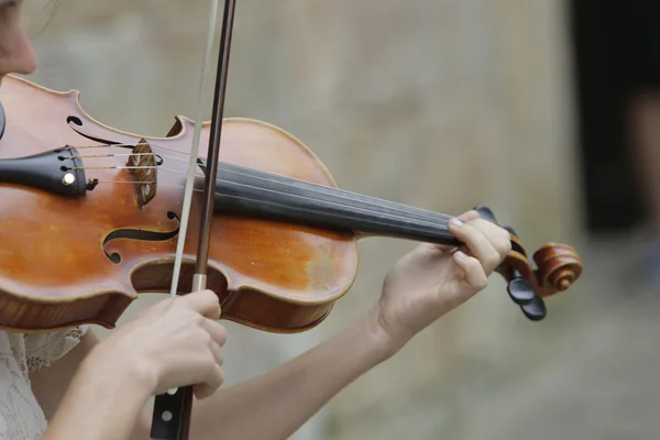 Violinista — Foto de Stock