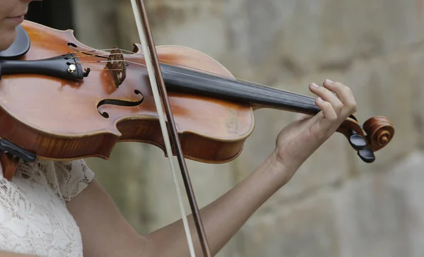 Violinista — Fotografia de Stock