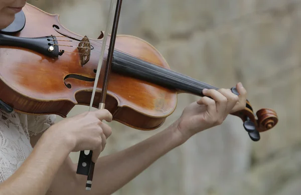 Violinista — Fotografia de Stock