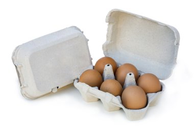 Beyaz arkaplanda karnabahar