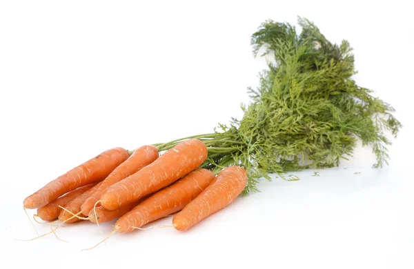 पांढरा पार्श्वभूमीवर ताजे गाजर — स्टॉक फोटो, इमेज