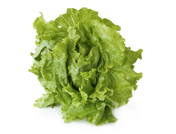 Lechuga sobre fondo blanco — Foto de Stock