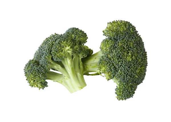 Broccoli op witte achtergrond — Stockfoto