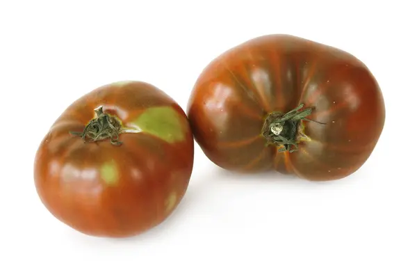 Twee tomaten op witte achtergrond — Stockfoto