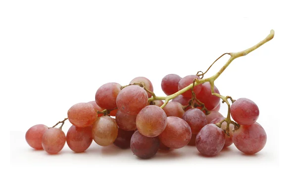 Purple grapes on white background — Stock Photo, Image