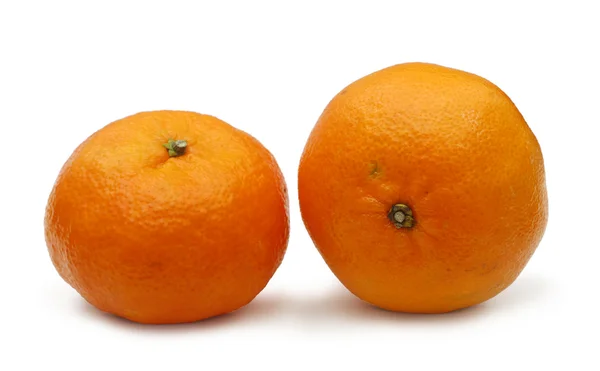Два мандарини на білому тлі — стокове фото