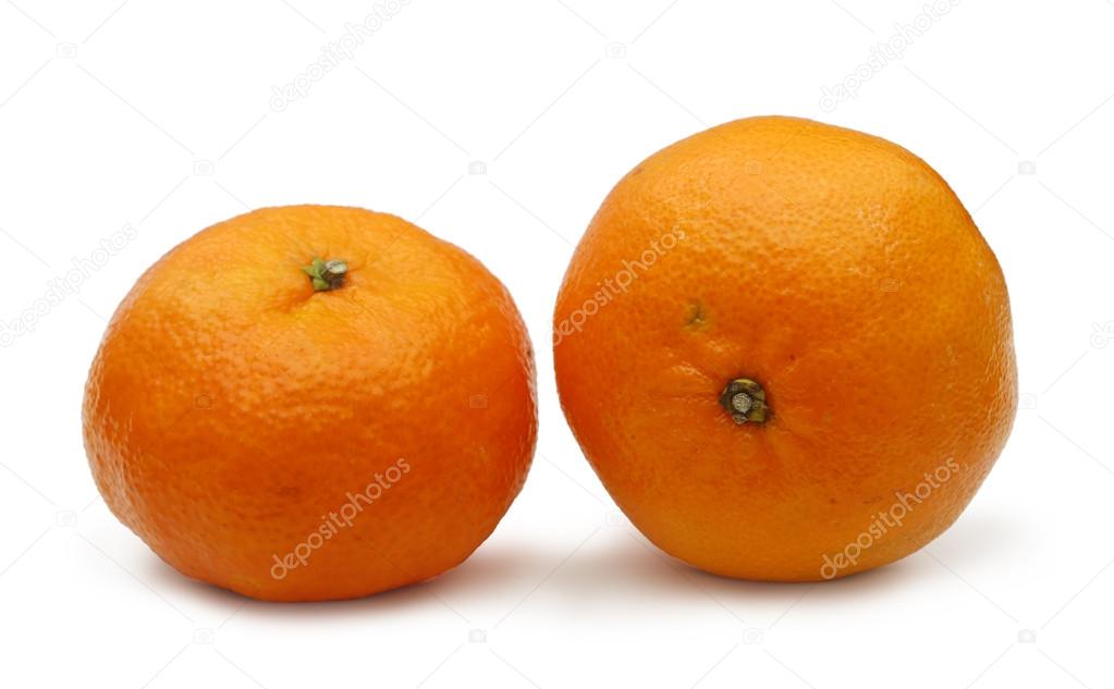 two tangerines on white background