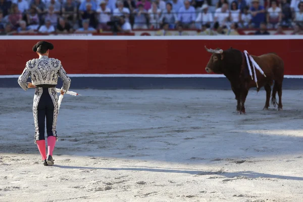 Collocamento bandiere torero toro — Foto Stock