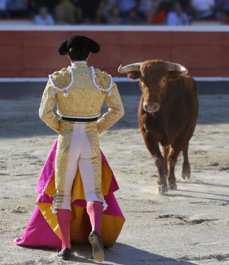 bullring boğa mücadele