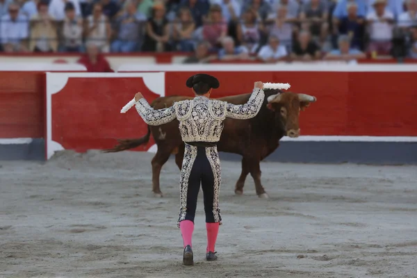 Placing flags bullfighter bull — Stock Photo, Image