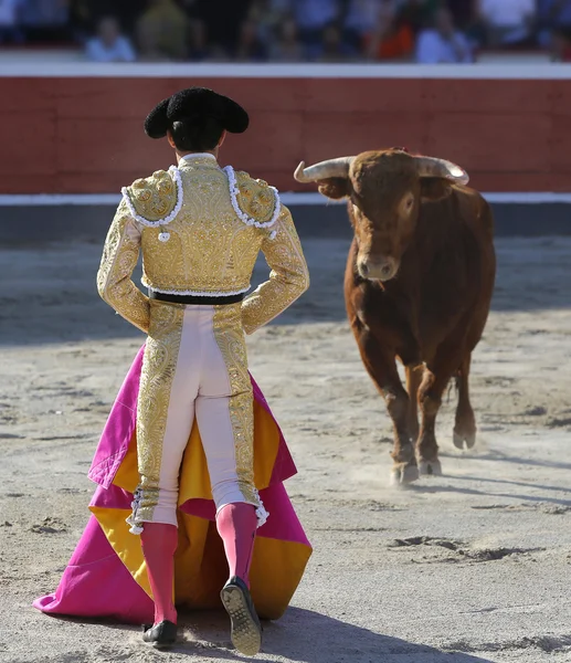 Toro de lucha en la plaza de toros Imagen de stock