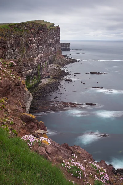 Latrabjarg is Europes  largest bird cliff. — Stock Photo, Image