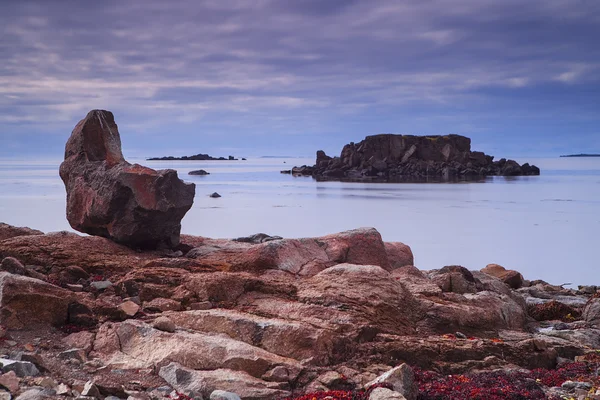 Těsnění bay, ze Západních fjordů, Island Royalty Free Stock Fotografie