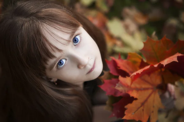 Little Girl Holding Maple Leaves — Stock Photo, Image