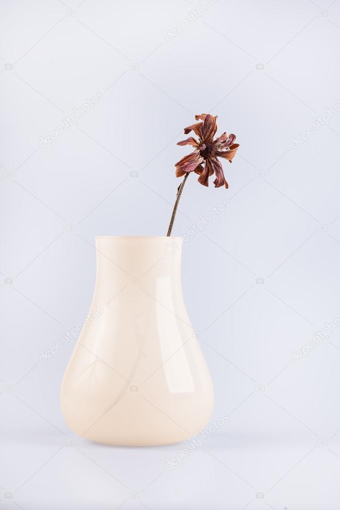 bouquet of dry flowers in a vase