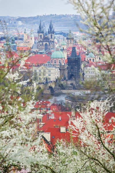 Primavera em praga Fotografias De Stock Royalty-Free