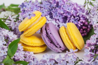 geleneksel Fransızca macaroons