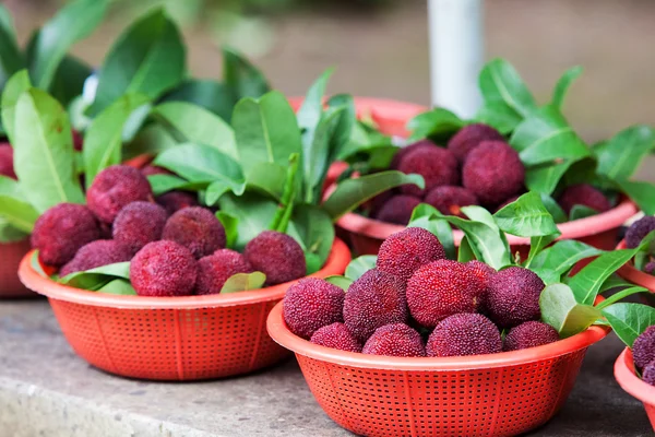 Fresh waxberry in the basket — Stock Photo, Image