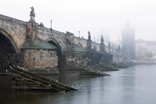 República Checa, Praga, Puente de Carlos durante la típica atmósfera de niebla autmn —  Fotos de Stock