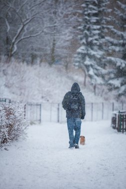 adam ve köpeği karda