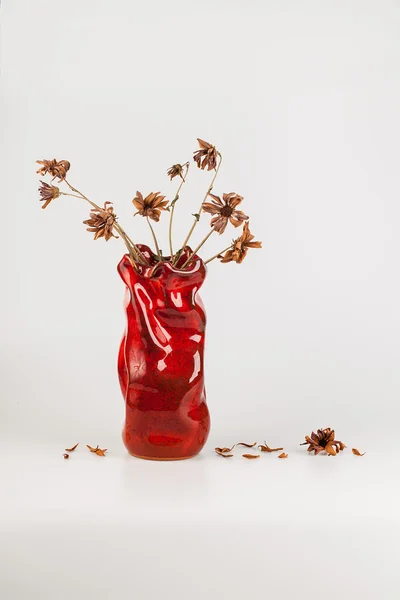 Bouquet of dry flowers in a vase isolated on white — Stock Photo, Image