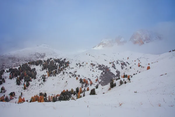 Berg in der Nähe von campitello di fassa, Dolomiten, Italien — Stockfoto