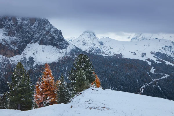 Berg in der Nähe von campitello di fassa, Dolomiten, Italien — Stockfoto