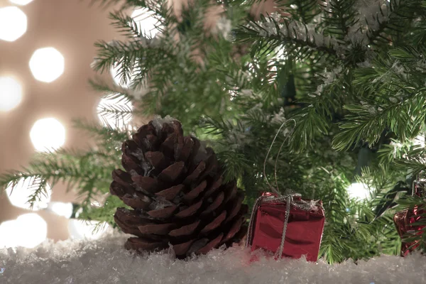 Snow Pine cones — Stock Photo, Image