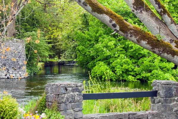 River landscape — Stock Photo, Image