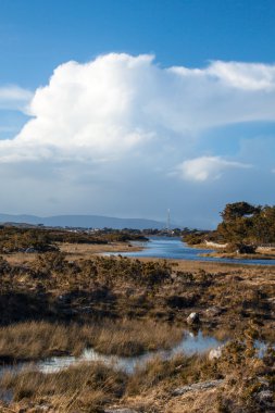 Connemara landscape